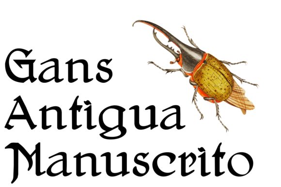 Gans Antigua Manuscrito: A Timeless Script Font for Brands