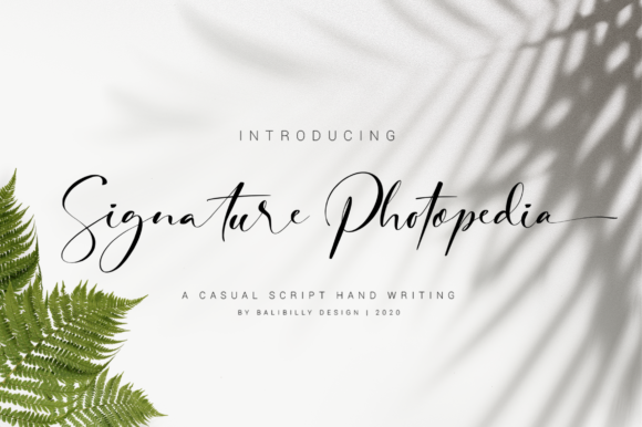 Signature Photopedia: A Premium Script Font for Web Design